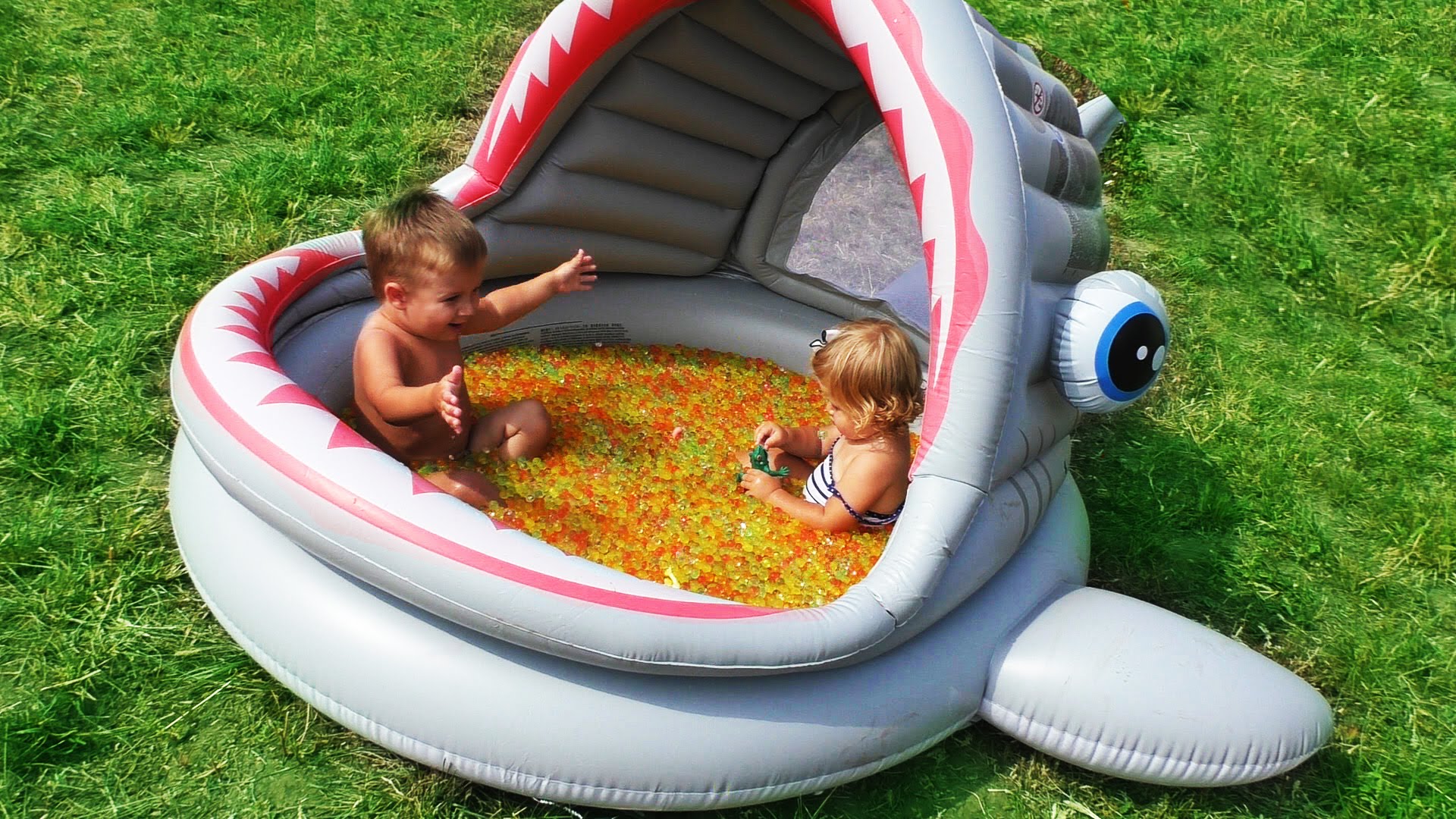 Bassejn-ORBEEZ-Akula-kupaemsya-s-raznotsvetnymi-sharikami-v-Orbiz-New-Orbeez-Toys-ORBEEZ-POOL-PARTY