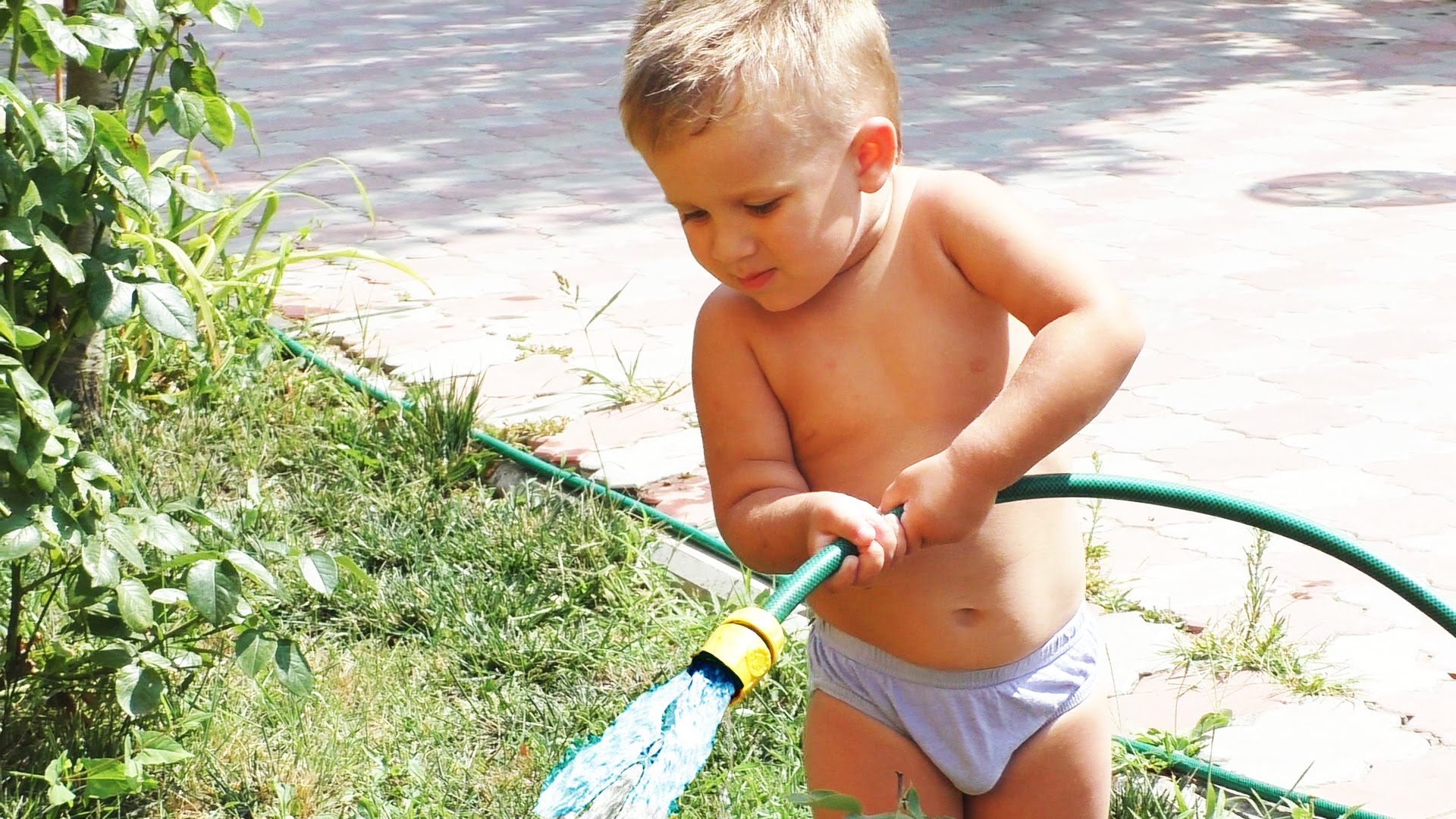 Polivaem-tsvety-kusty-gazon-vmeste-s-Sadovnikom-ochen-zanimatelno