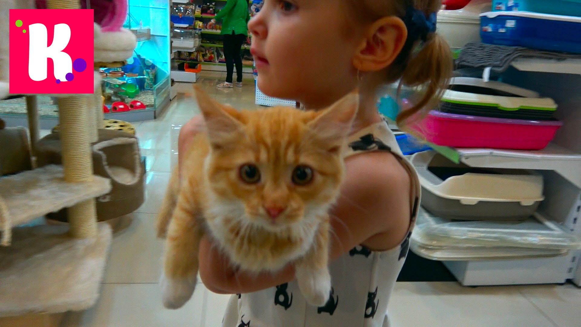 VLOG-Koshechka-Murka-s-Katej-v-salone-krasoty-gryuming-podarki-ot-magazina-dlya-zhivotnyh