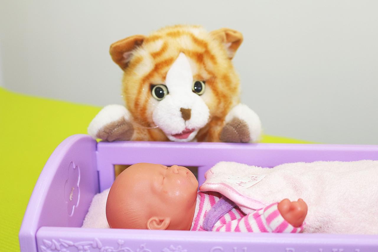 Poteshki-dlya-detej-dlya-samyh-malenkih-pro-kota.-Kotya-kotenka-kotok.-Kisonka-murysonka