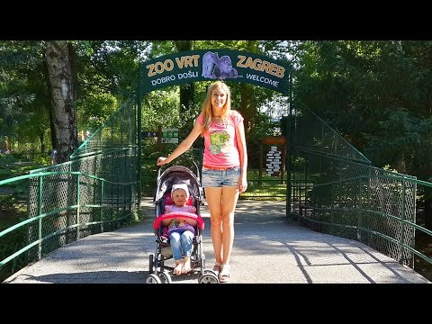Zagreb-zoo.-Zagreb-zoopark-Obezyany-Enoty-Morskie-lvy