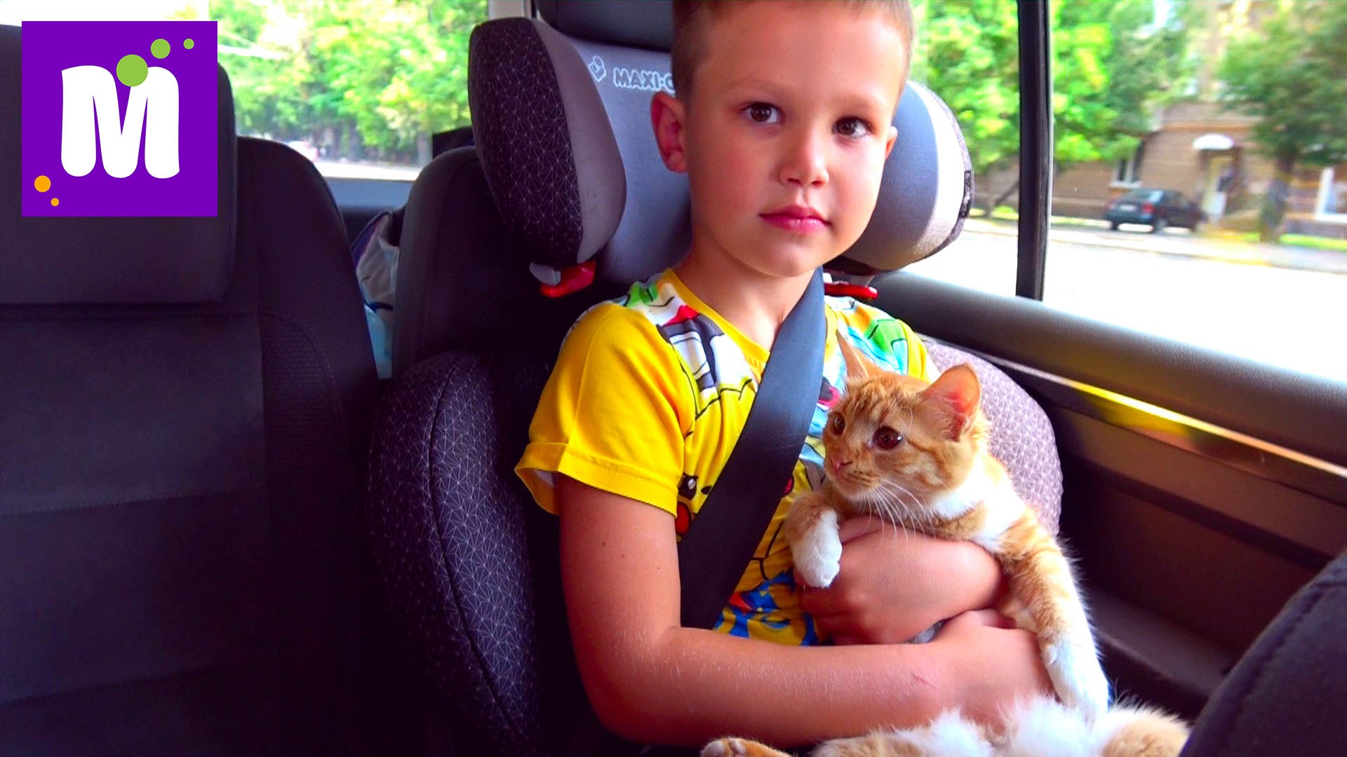 Koshechka-Murka-i-Maks-edut-v-gosti-VLOG-edem-v-Kiev-DzhekPot-CHELLENDZH-i-Pushka-Perdushka-Miniony