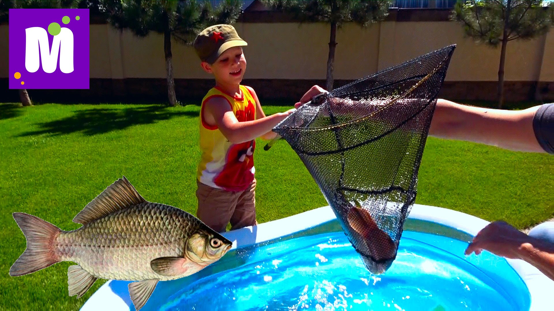 Rybalka-na-karasya-i-soma-raki-Maks-lovit-rybu-v-bassejne-s-zhabami