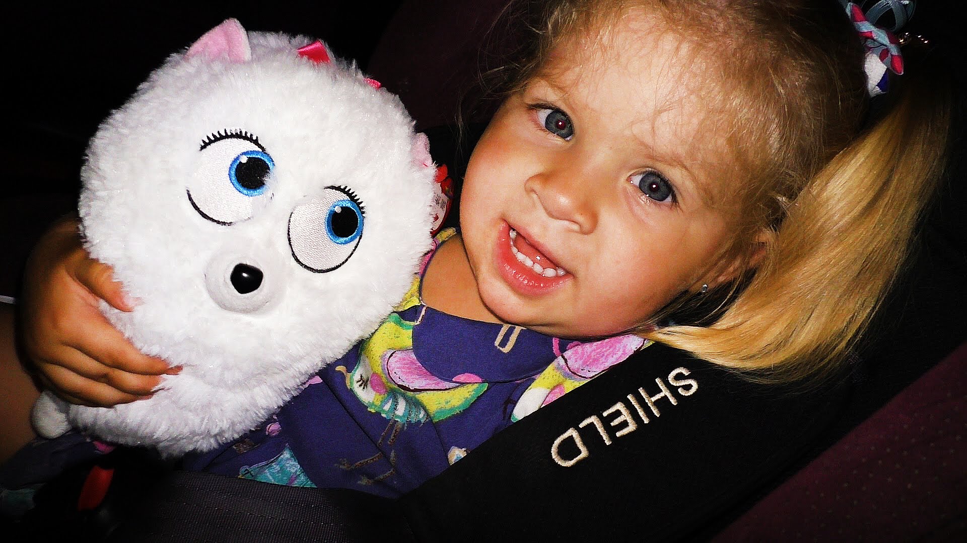 VLOG-Tajnaya-ZHizn-Domashnih-ZHivotnyh-The-Secret-Life-of-Pets-Detskaya-ploshhadka-Shildrens-Playroom