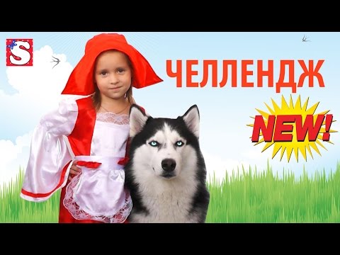 CHELLENDZH-HASKI-FRENK-I-KRASNAYA-SHAPOCHKA-DELAYUT-SAMYE-NEOBYCHNYE-PIROZHKI-DLYA-BABUSHKI-VIDEO-DLYA-DETEJ