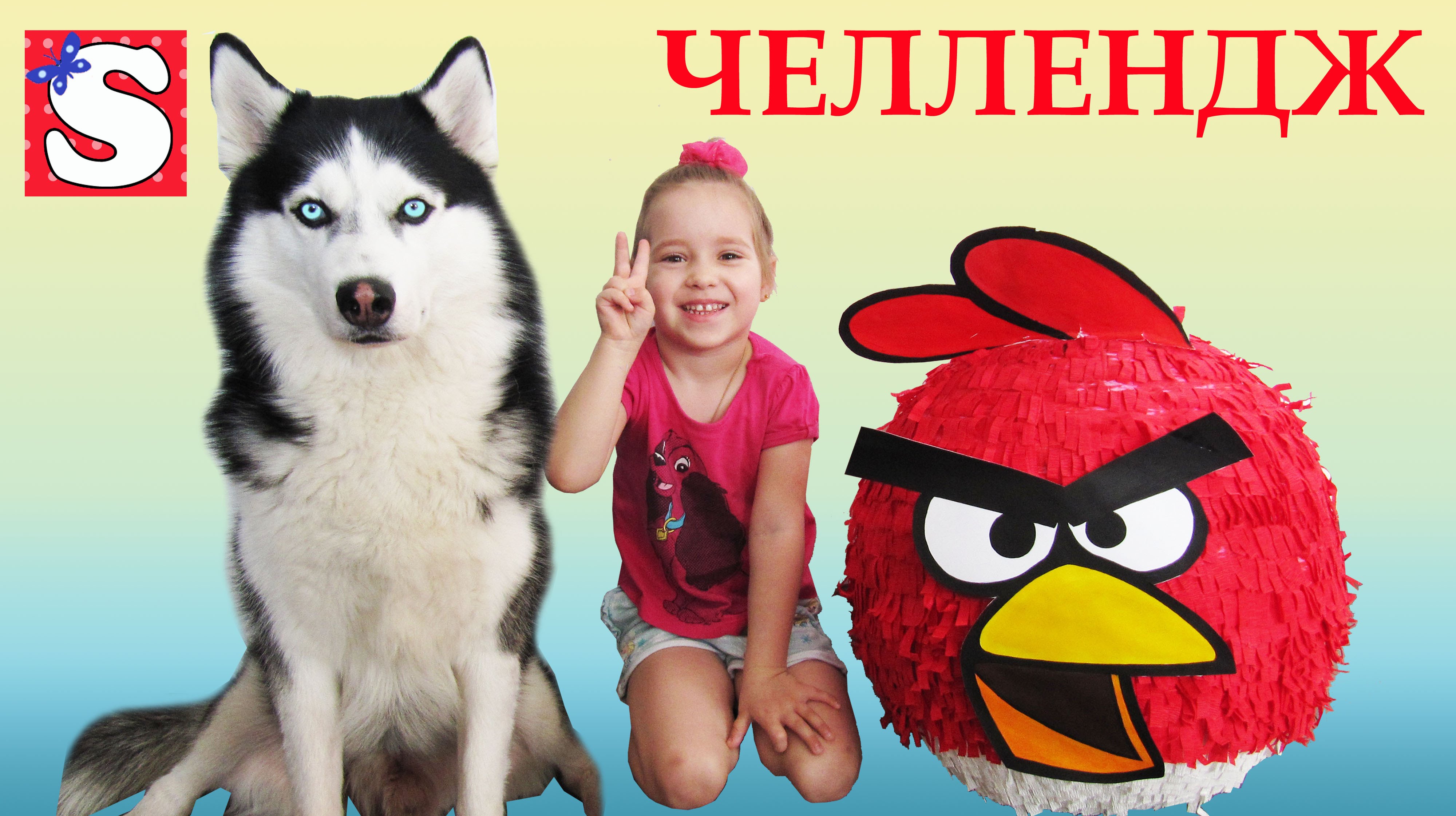 CHELLENDZH-PTICHKI-ENGRI-BERDS-PINYATA-multik-engri-berds-CHALLENGE-BIRDS-ANGRY-BIRDS