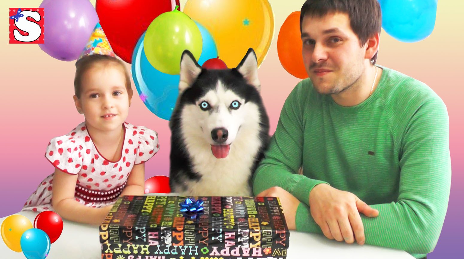 DEN-ROZHDENIYA-FRENKA-PODARKI-NA-DEN-ROZHDENIYA-SIBIRSKAYA-HASKI-I-SOFIYA