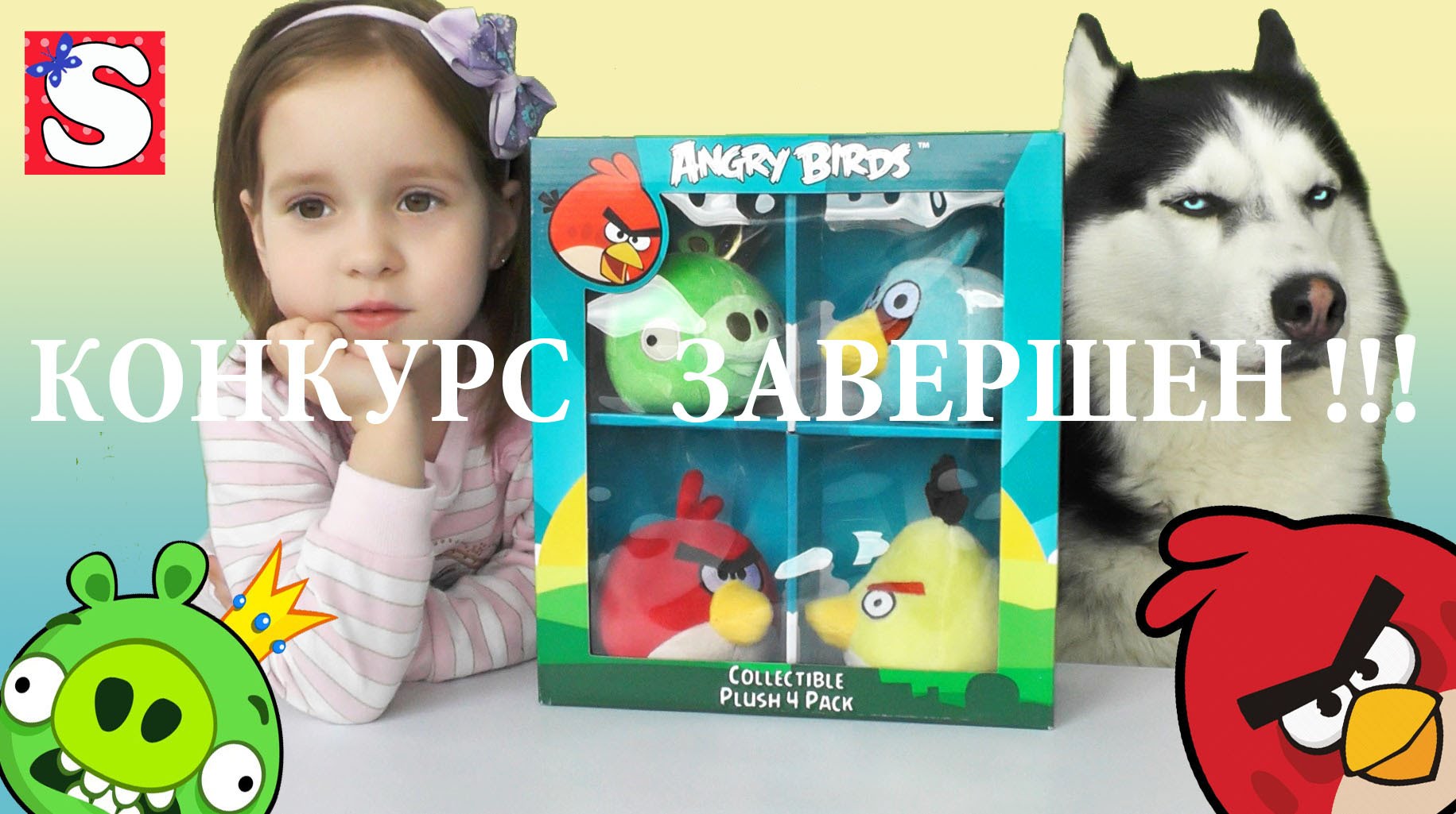 KONKURS-ZAVERSHEN-PTICHKI-ENGRI-BYORDS