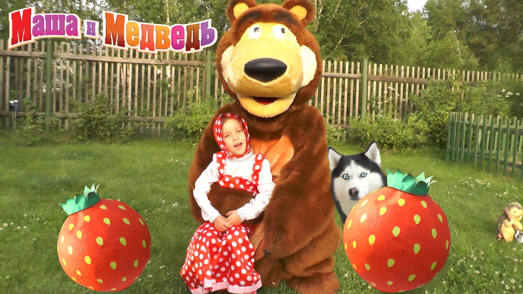 Masha-i-Medved-igraem-v-Doktora-Novye-Serii-masha-multik-sobaka-haski-multfilm-raspakovka-nabor