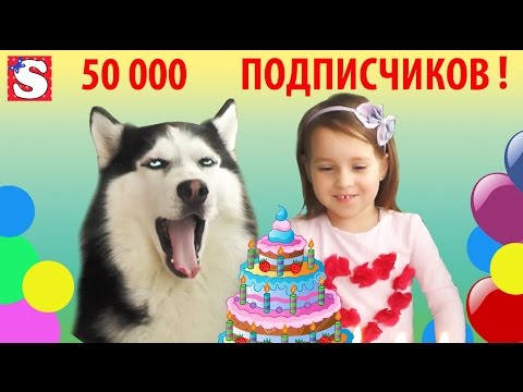 SOFIYA-i-Sibirskaya-haski-FRENK-50-000-podpischikov-na-kanale-Malenkaya-miss-Sofiya-SOFIA-and-husky