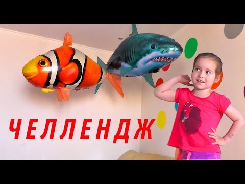 Super-CHellendzh-KTO-VPEREDryby-na-radioupravlenii-Gigantskaya-akula-i-ryba-kloun-Nemo-Super-challenge
