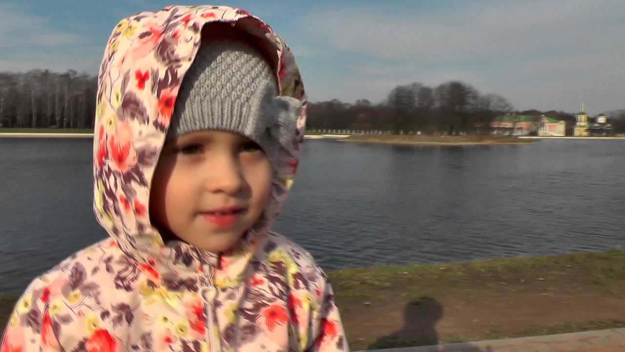VLOG-SIBIRSKAYA-HASKI-FRENK-I-SOFIYA-GULYAYUT-V-PARKE-KUSKOVO