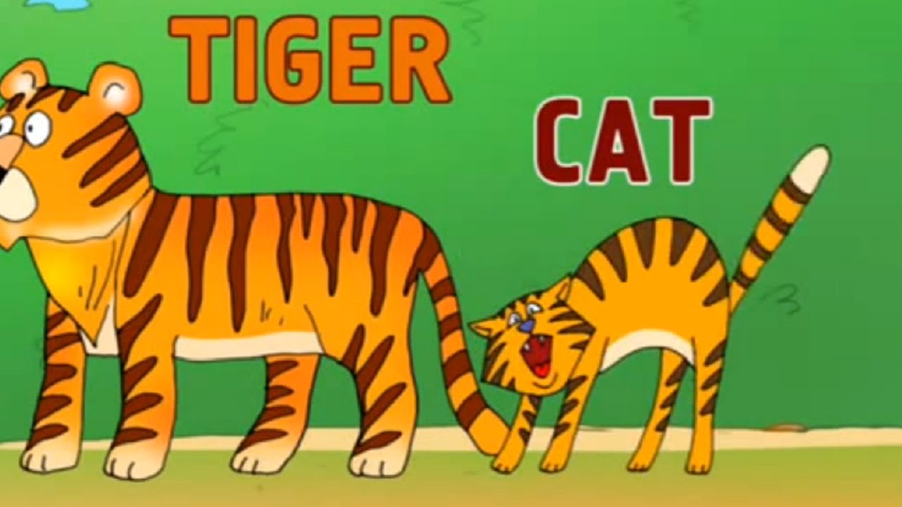 Razvivayushhie-multfilmy-Anglijskij-yazyk-dlya-malyshej