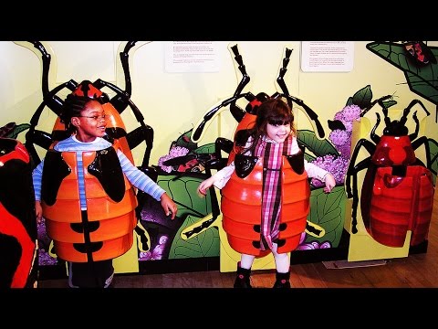 Roma-i-Diana-na-Neobychnoj-Detskoj-Ploshhadke-Detskij-muzej-Manhettena-Playground-playroom-Kids-Vlog
