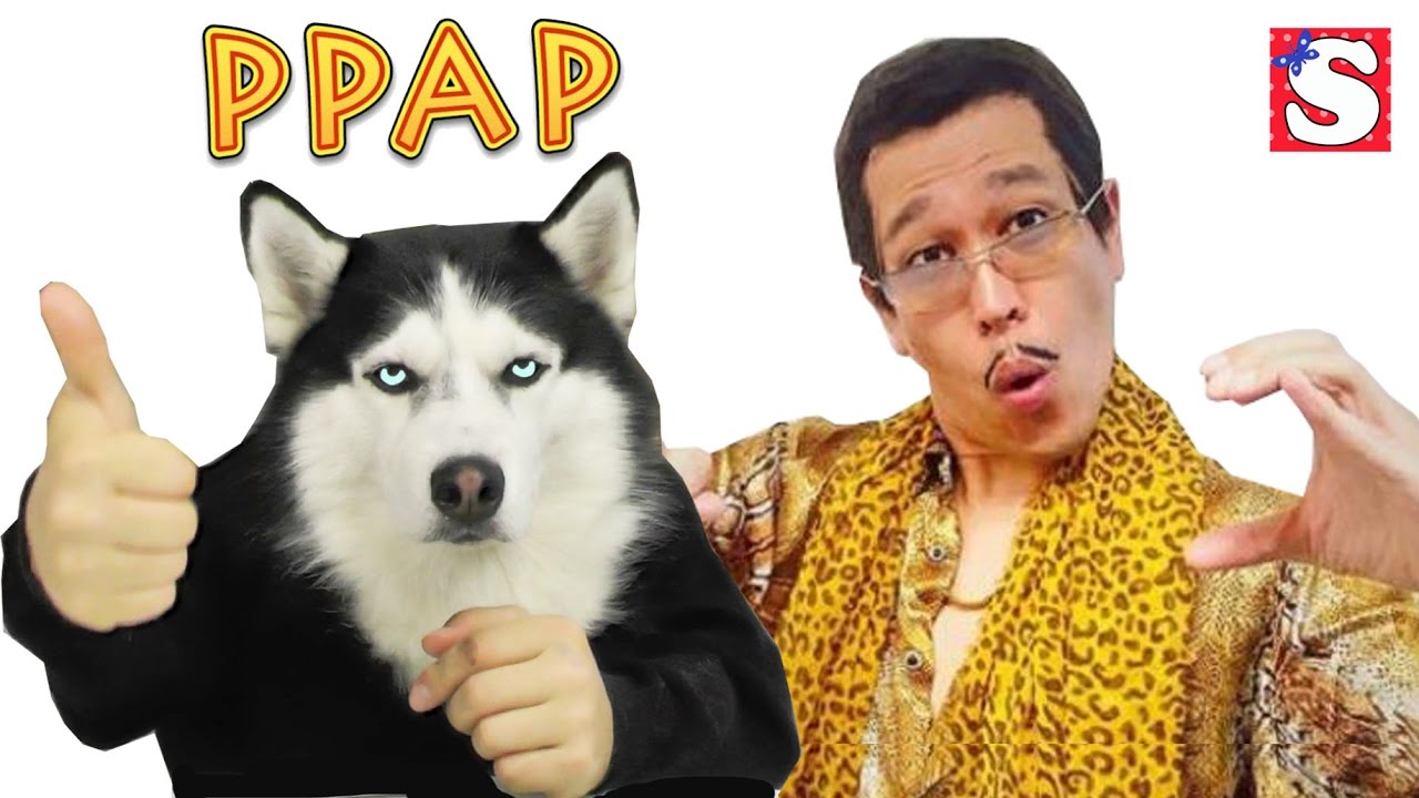 Sobaka-Haski-MISTER-Frenk-tantsuet-pod-muzyku-Pen-Pineapple-Apple-Pen-funny-video-PPAP-PARODIYA0