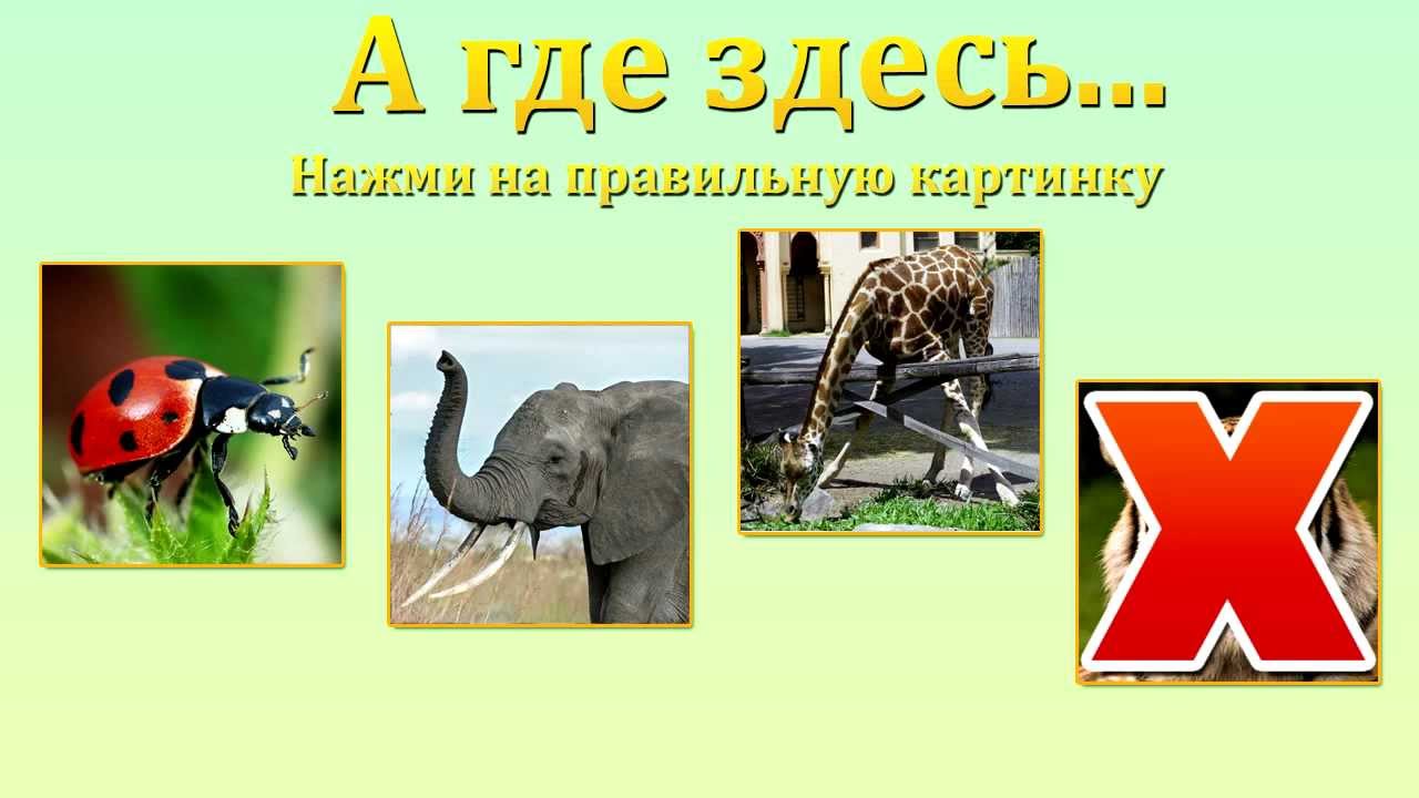 Igry-dlya-detej-Bukva-ZH