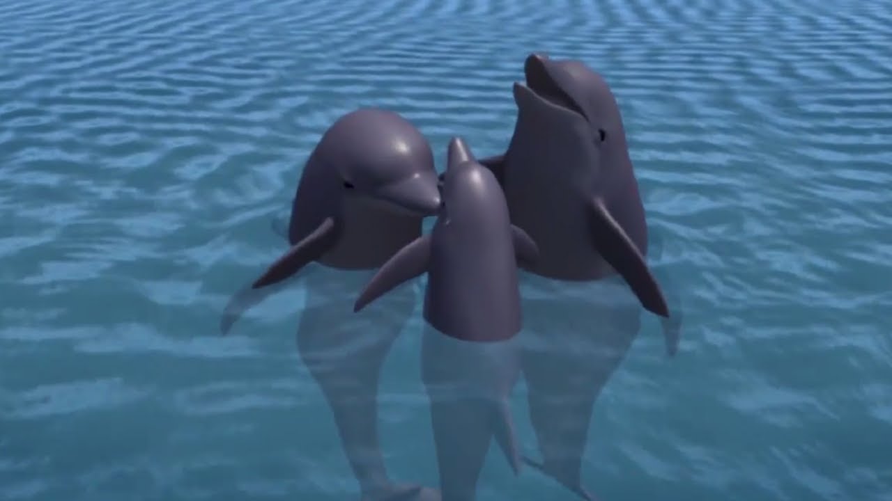 Multfilmy-Budni-aeroporta-Delfinenok-vozvrashhaetsya-domoj-20-seriya