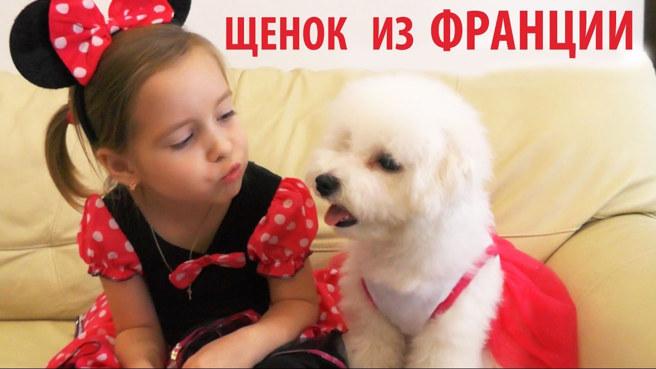 U-nas-v-gostyah-shhenok-iz-Frantsii-Frenk-RYCHIT-MINI-MAUS-igraem-v-salon-krasoty-Razvlecheniya-dlya-detej