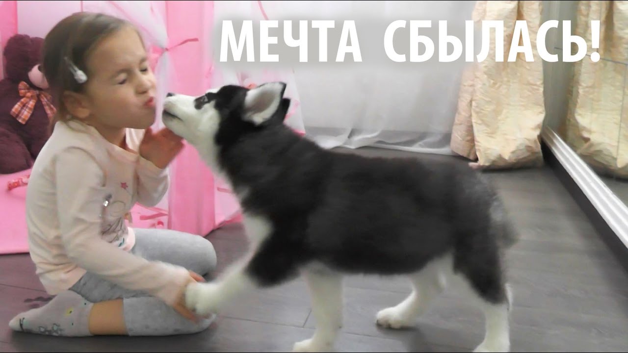 ZAVETNAYA-MECHTA-SBYLAS-MASHA-I-MEDVED-mashiny-skazki-devochka-Katya-Novye-serii-ot-Malenkoj-Miss