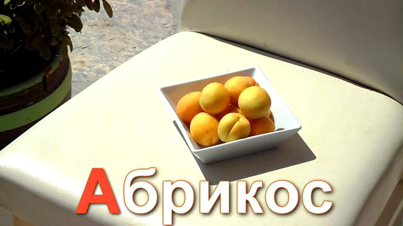 Azbuka-dlya-detej.-Uchim-bukvy.-Bukva-A