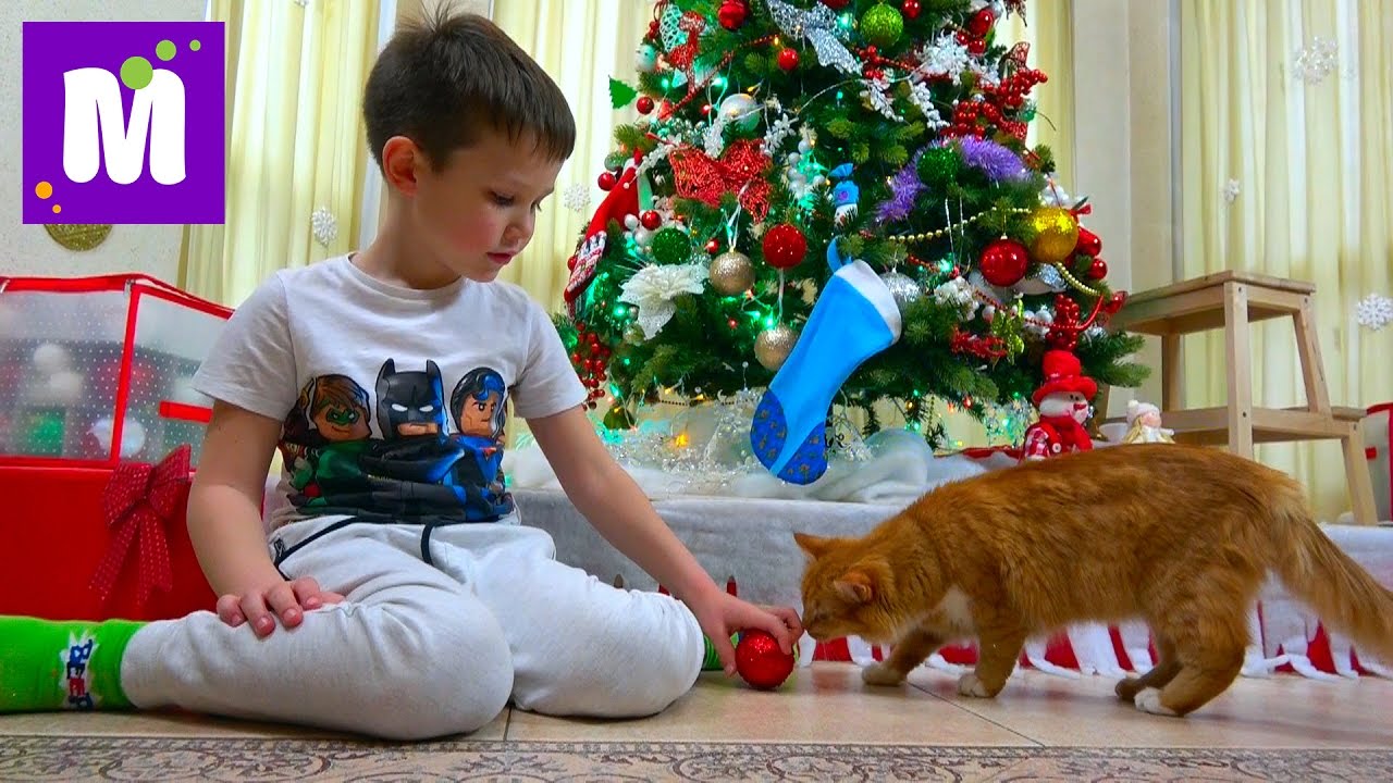 Maks-naryazhaet-yolku-na-Novyj-God-2017-ZHdyom-tonnu-konfet-v-noskah-i-Murka-gryzyot-belochku-pod-yolochkoj