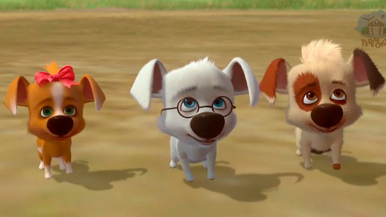 Multfilmy-2013-Ozornaya-Semejka-Pryamoj-efir