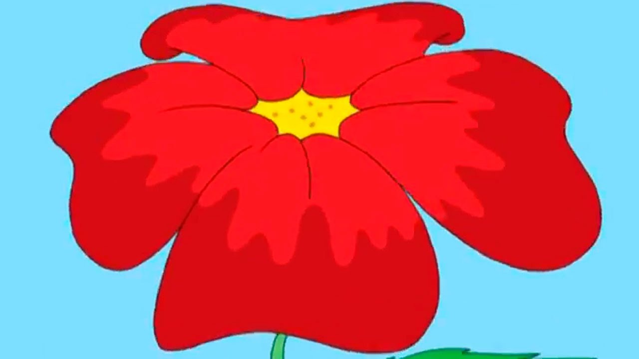 Razvivayushhie-multfilmy-Prirodovedenie-dlya-samyh-malenkih