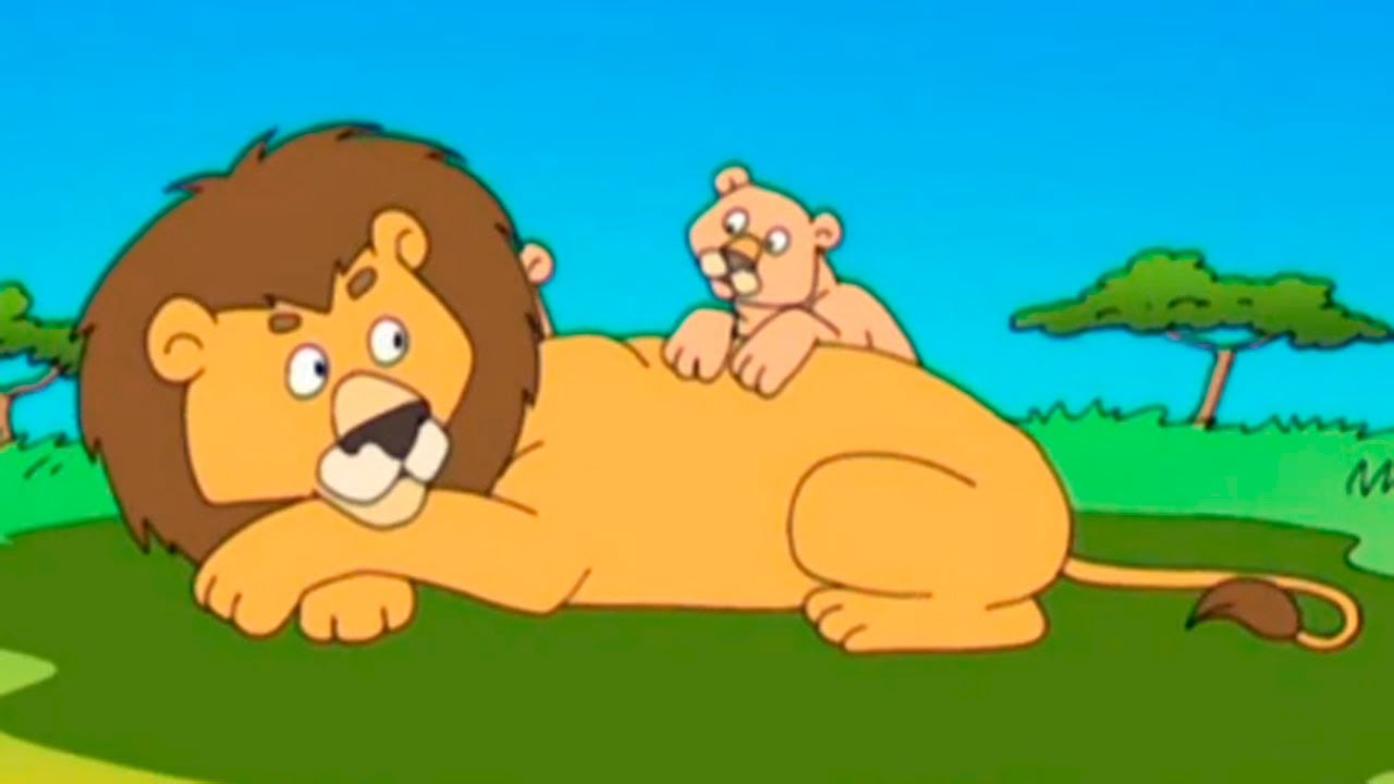 Razvivayushhie-multfilmy-Tvoi-Pervye-ZHivotnye