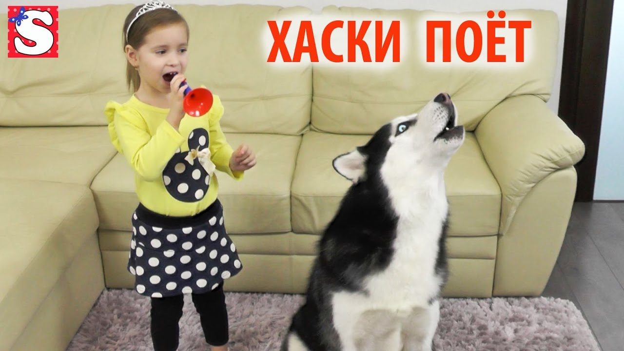 SOFIYA-v-konkurse-na-Kanale-KARUSEL-Haski-poyot-VIDEO-DLYA-DETEJ-razvlechenie-Pesenki-Miss