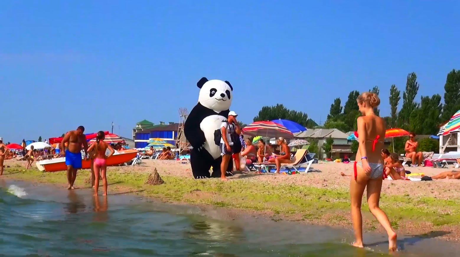 2-CHernoe-more-Ogromnaya-panda-na-plyazhe-Kataemsya-na-gorkah-Idem-v-park-attraktsionov-Zatoka-2015