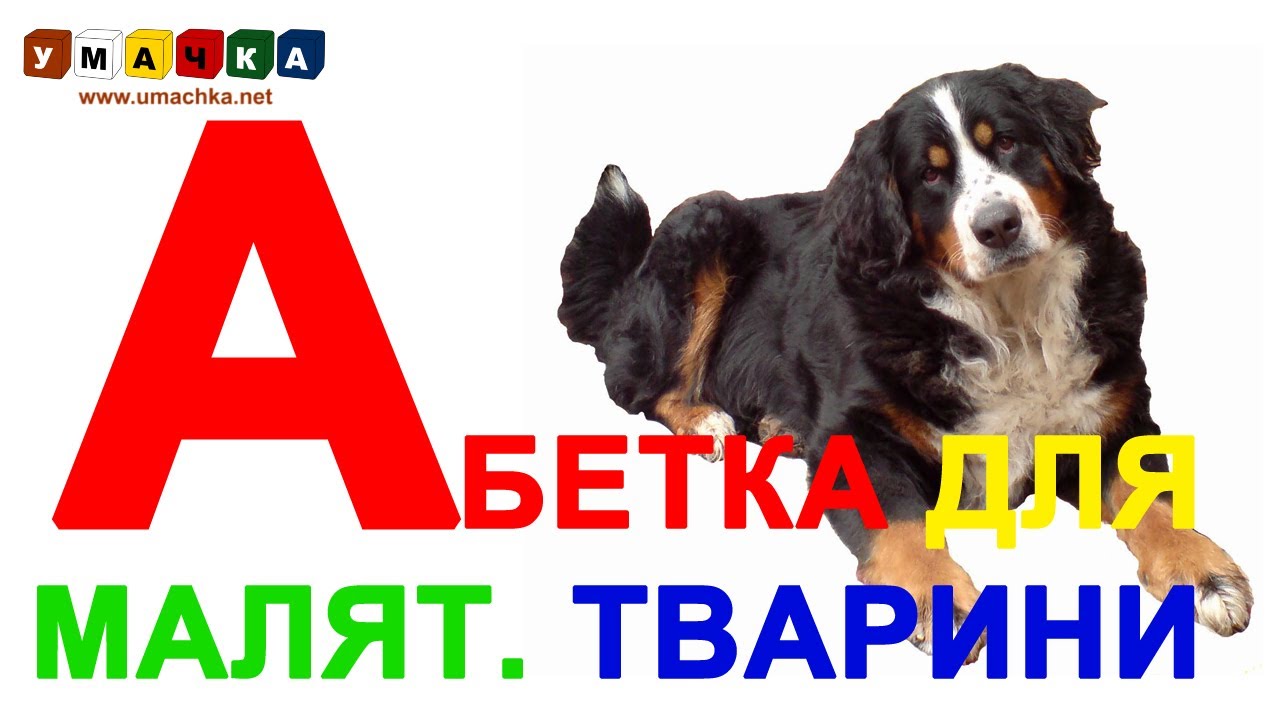 Abetka-dlya-ditej-Tvarini-Vchimo-ukrayinskij-alfavit