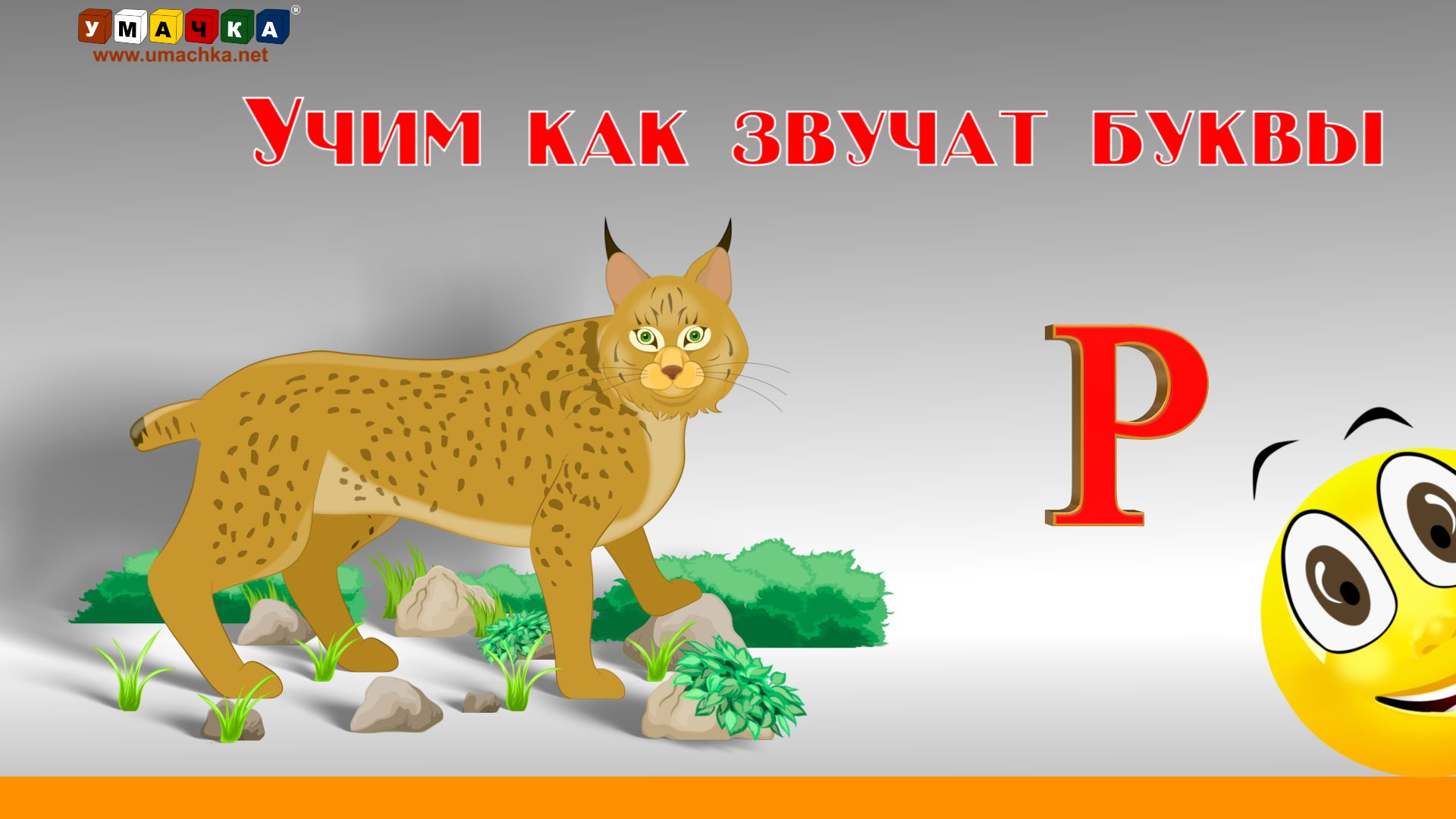 Alfavit-CHitat-Uchim-s-Kruglyashikom-Bukvy-i-Zvuki-Bukva-R