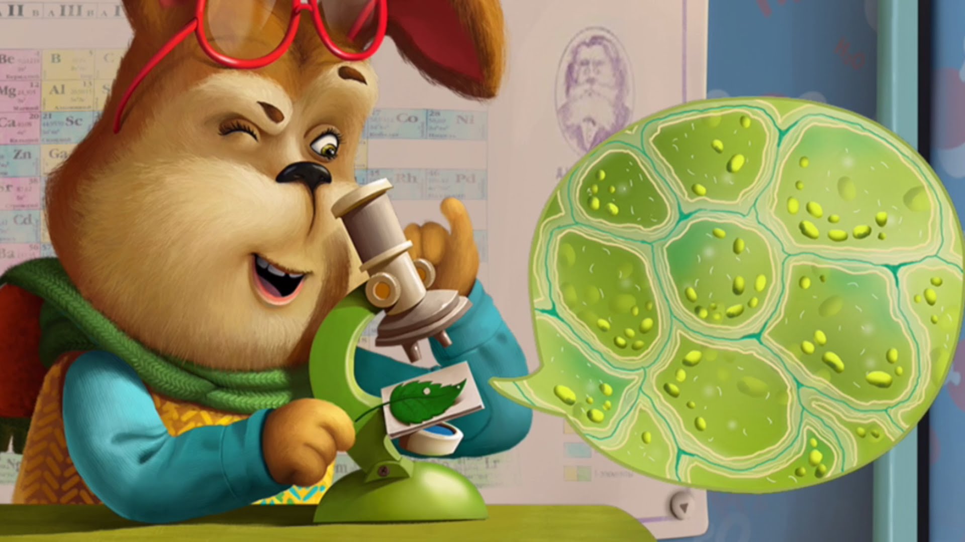 BARBOSKINY-mikro-i-makro-miry.-Interaktivnaya-kniga-dlya-detej