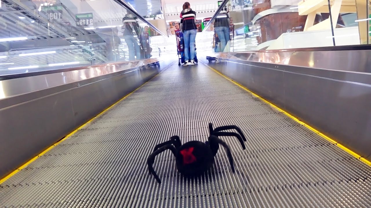 Bad-Baby-Gigantskie-Pauki-Napadayut-na-Detej-Sbornik-Giant-Spiders-Attack-Girl-Compilation