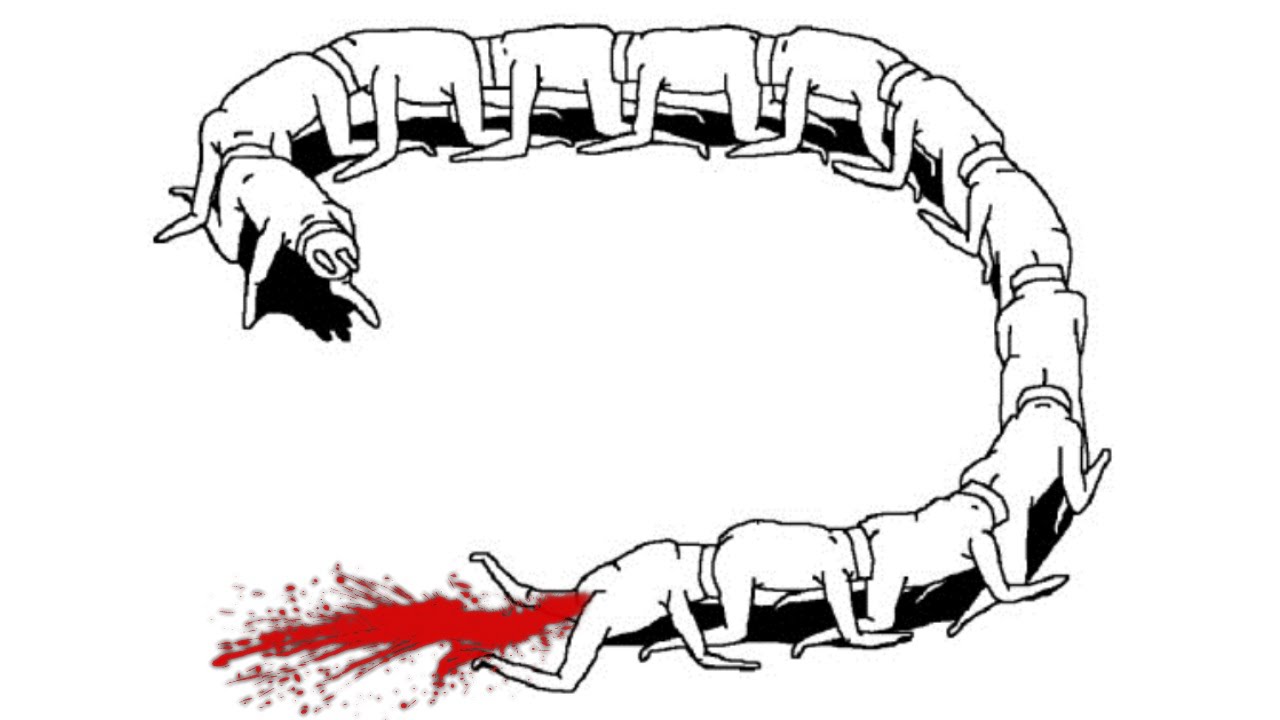 CHTO-ETO-ZA-HREN-PROIZOSHLA-SEJCHAS-Plug-and-Play