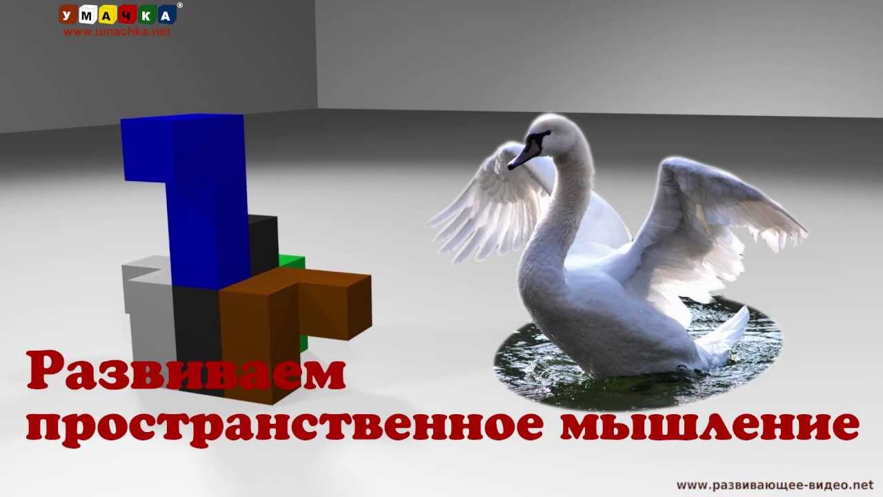 Igry-Nikitinyh-Kubiki-dlya-vseh-Razvivaem-prostranstvennoe-myshlenie-3
