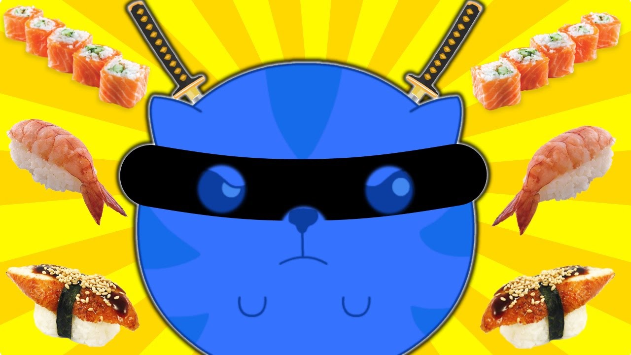 KOT-NINDZYA-Sushi-Cat-2-STOIT-POIGRAT