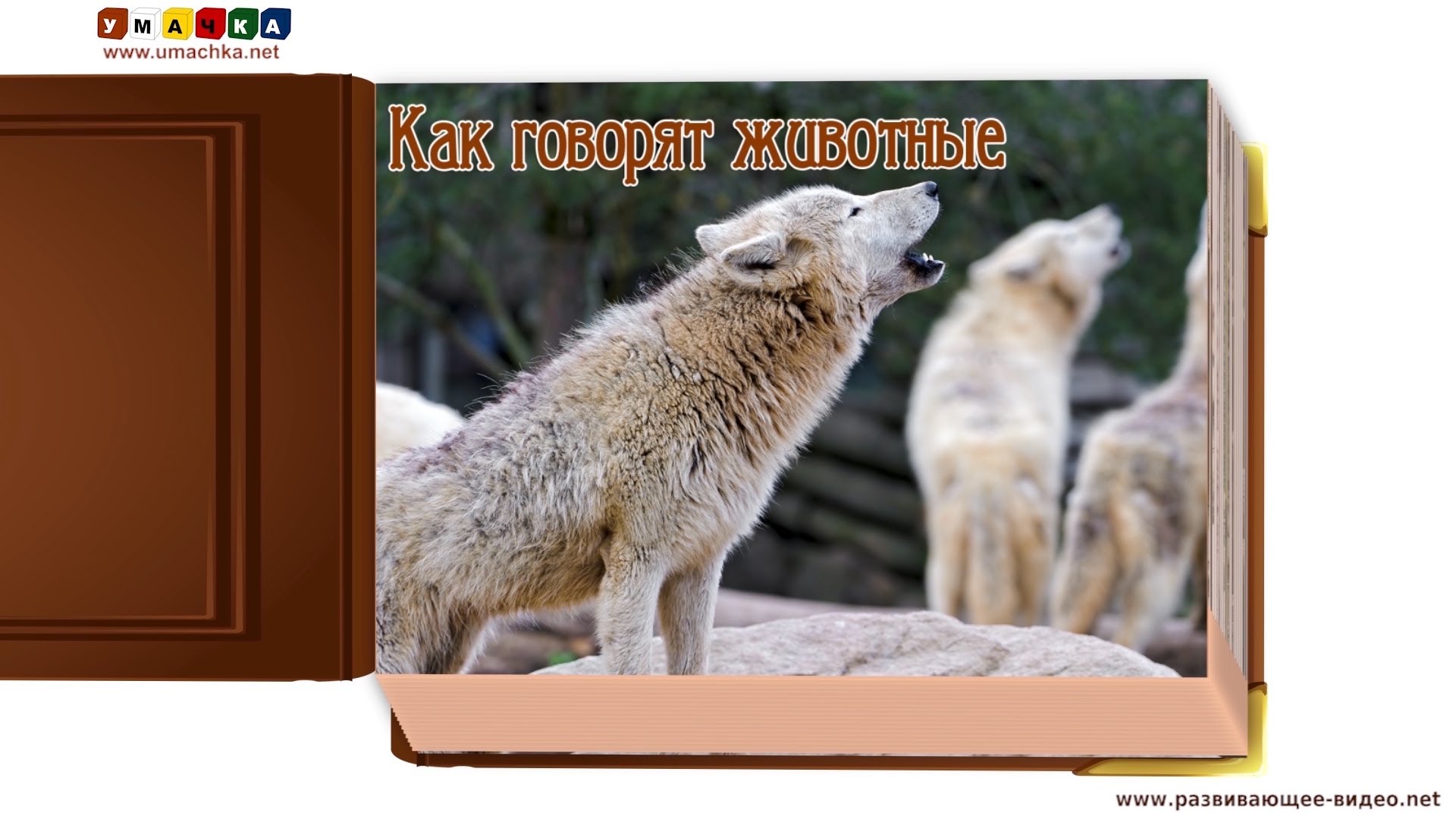 Kak-govoryat-zhivotnye-zvuki-zhivotnyh-razvivayushhee-video-dlya-detej-2