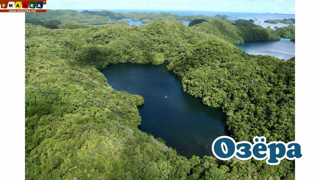 Logopedicheskoe-video-Razvivayushhee-video.-Logopediya.-Bukva-3.-CHast-2