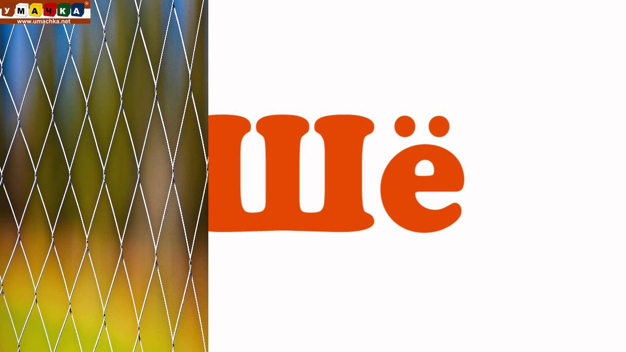 Logopedicheskoe-video-Razvivayushhee-video.-Logopediya.-Bukva-SH.-CHast-2