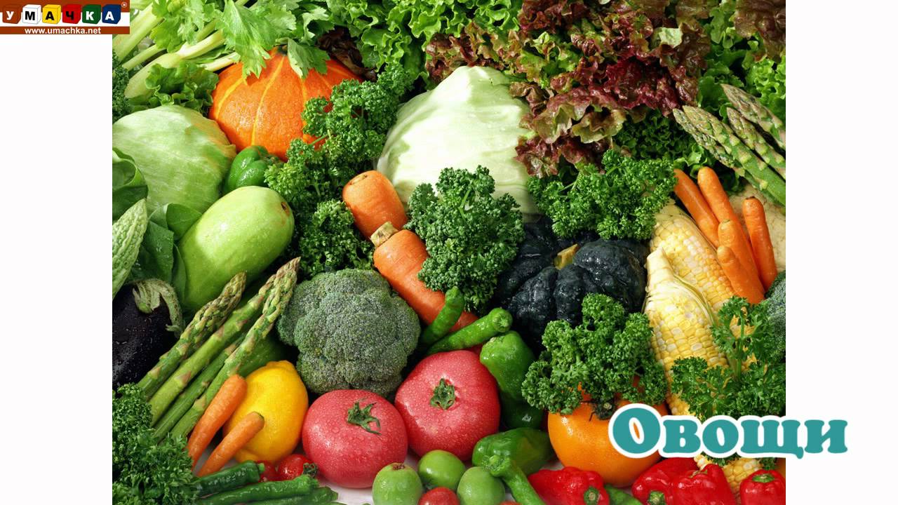 Logopedicheskoe-video-Razvivayushhee-video.-Logopediya.-Bukva-SHH