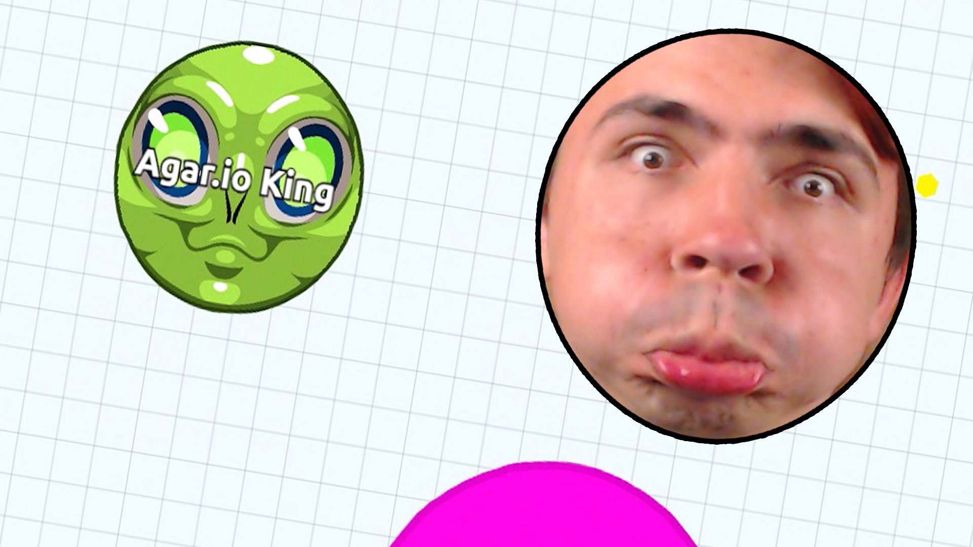NAZAD-V-AGARIO-_