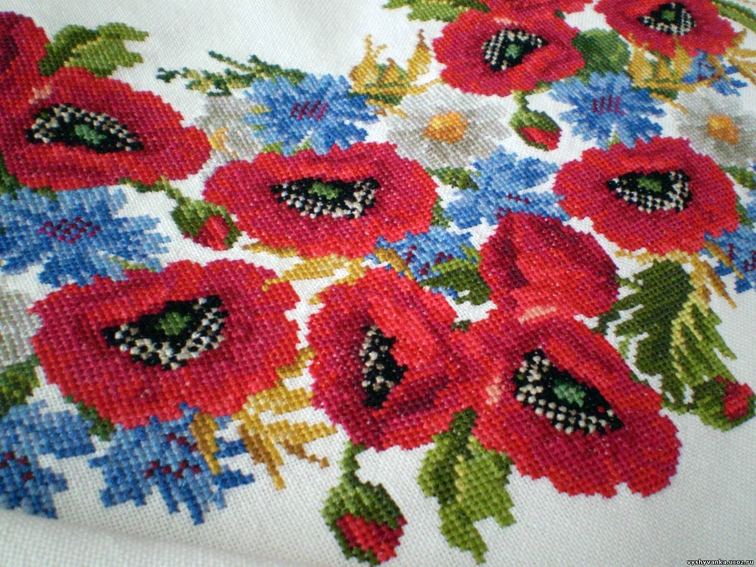 Navchalni-multfilmi-Ukrayinska-mova-2