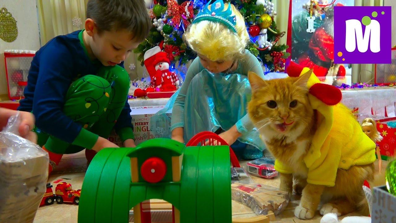 Podarki-dlya-Maksa-na-Novyj-God-2017-Koshechka-Murochka-v-kostyume-kurochki-i-vagon-konfet-v-noskah