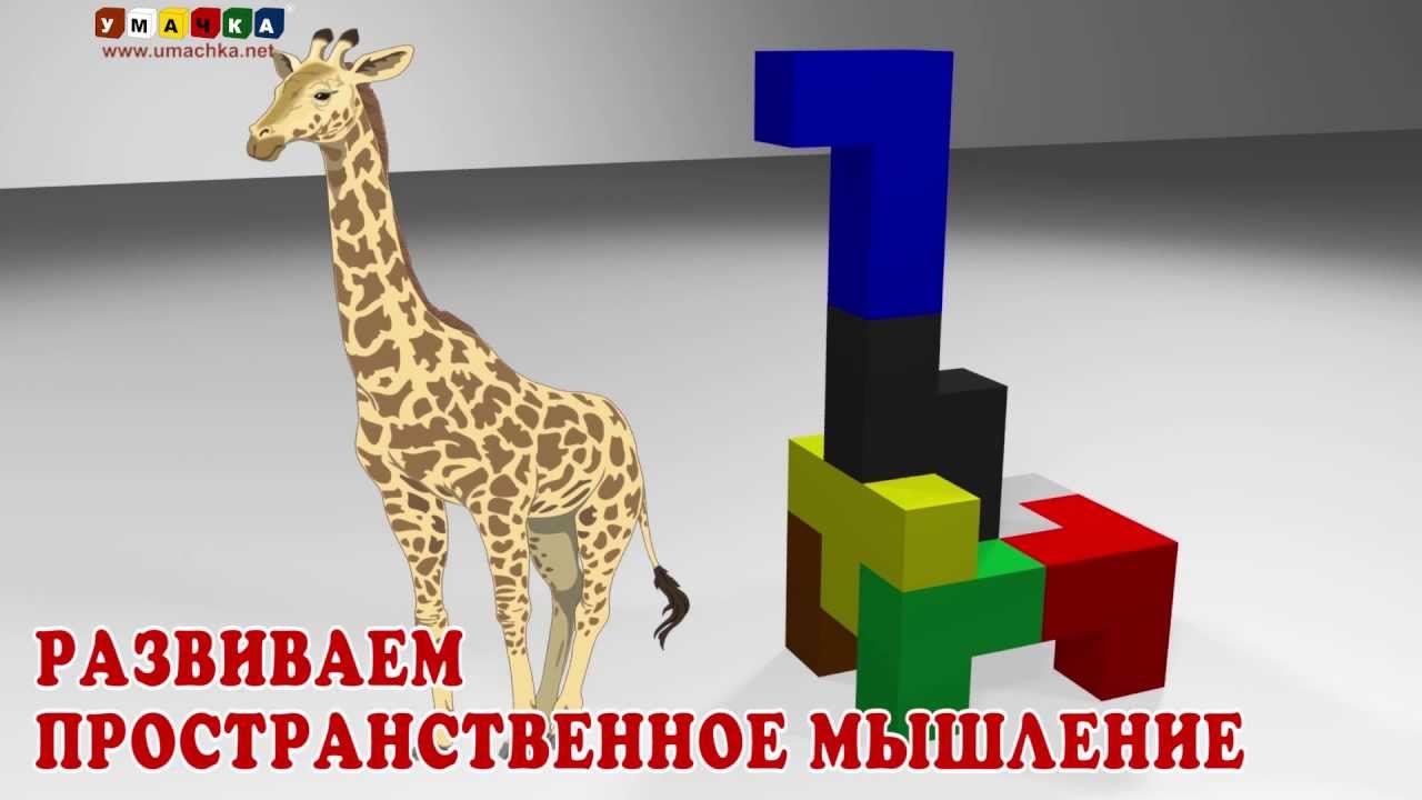 Razvivaem-prostranstvennoe-myshlenie-s-igrami-po-metodike-Nikitinyh-1