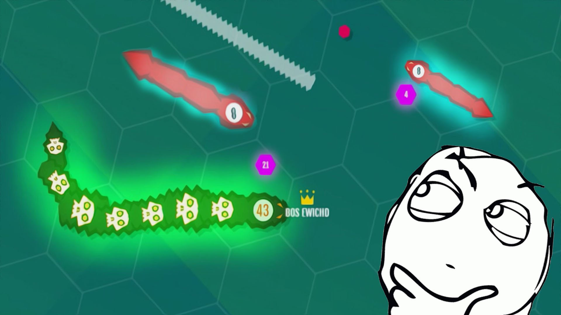 SHOK-NOVYE-ZMEJKI-LUCHSHE