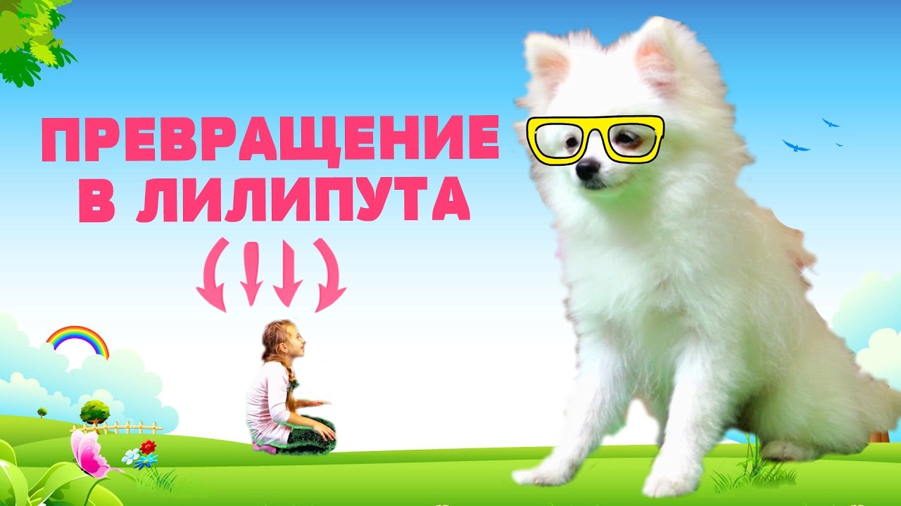 SHok-Anyuta-vypila-umenshitelnoe-zele.-YAroslav-chut-ne-skushal-sestru.-The-Shrinking-Potion