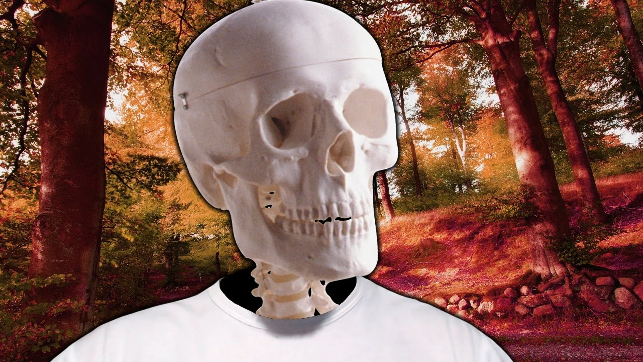 STRANNYJ-SKELET-FRAN-BOW-9