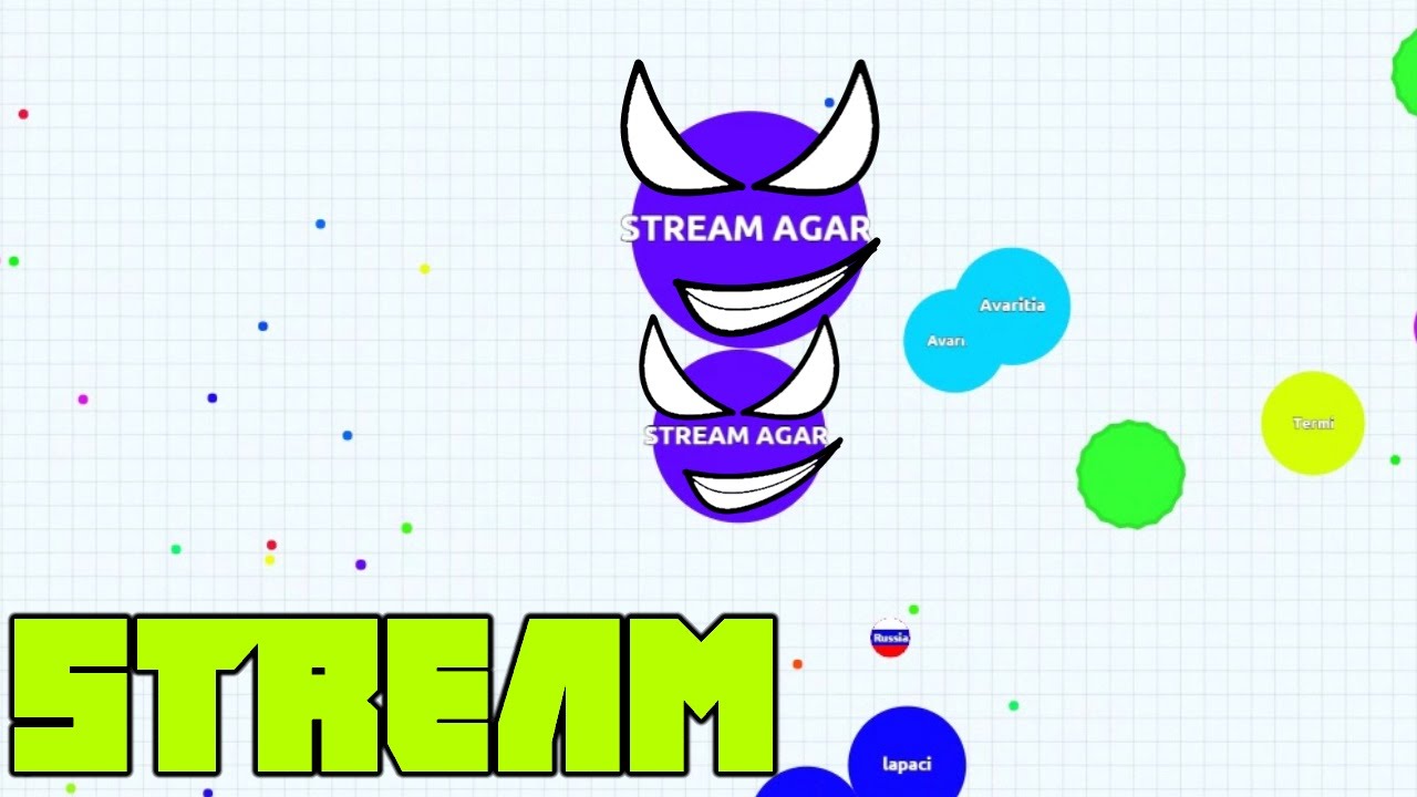STREAM-AGARIO