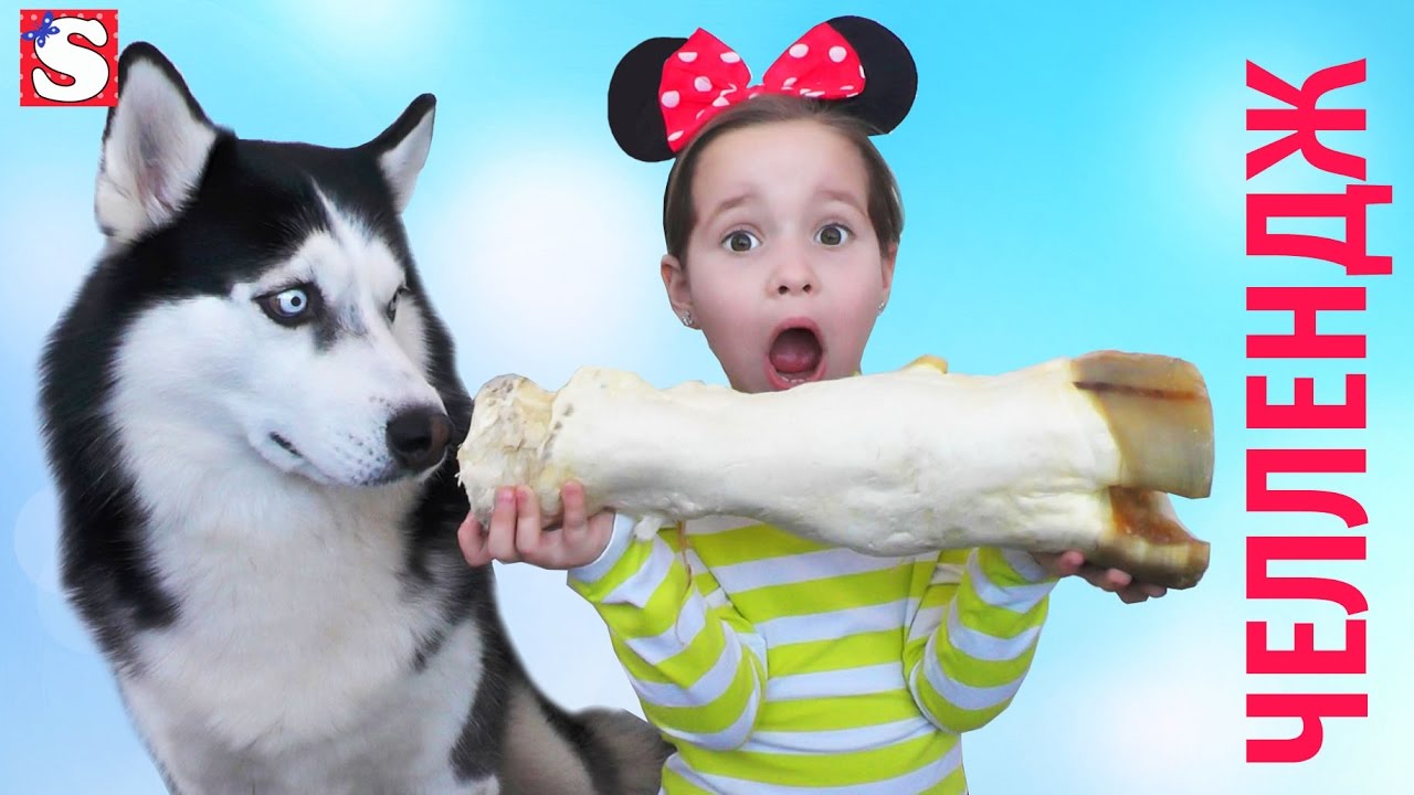 Smeshnoj-CHellendzh-s-Haski-Intuitsiya-Igra-video-dlya-detej-Taste-Test-Challenge-FOR-KIDS-Food-challenge